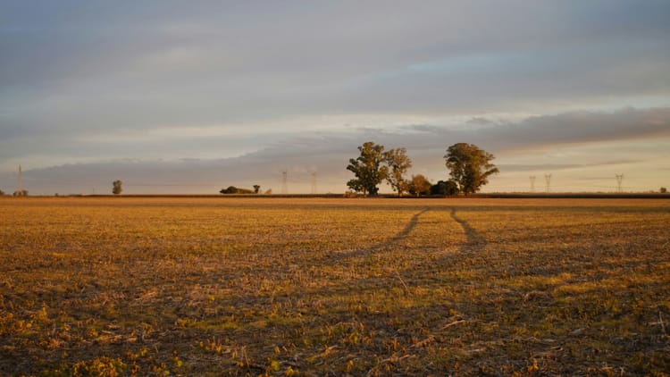 The Field Beyond Distraction